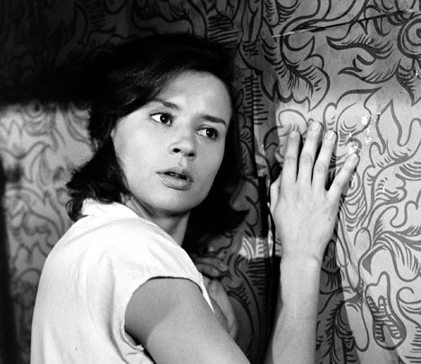 bergman 500fullharriet-andersson.jpg