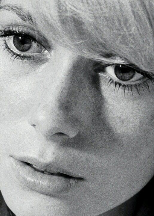 Catherine Deneuve -1965 age 22 c57e5ba98b7623d509f118e0a8d2015a(1)